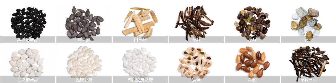 芝麻色选物料展示