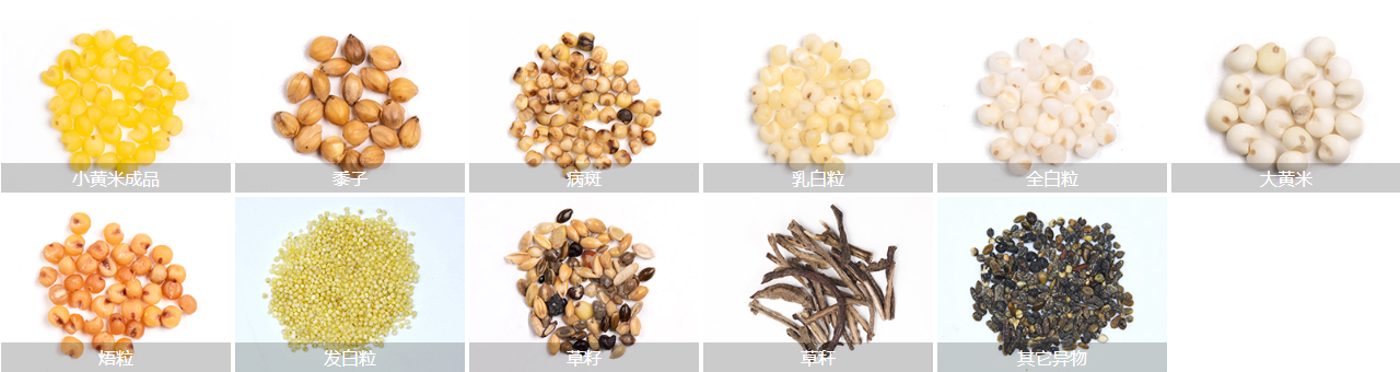 黄小米色选物料展示