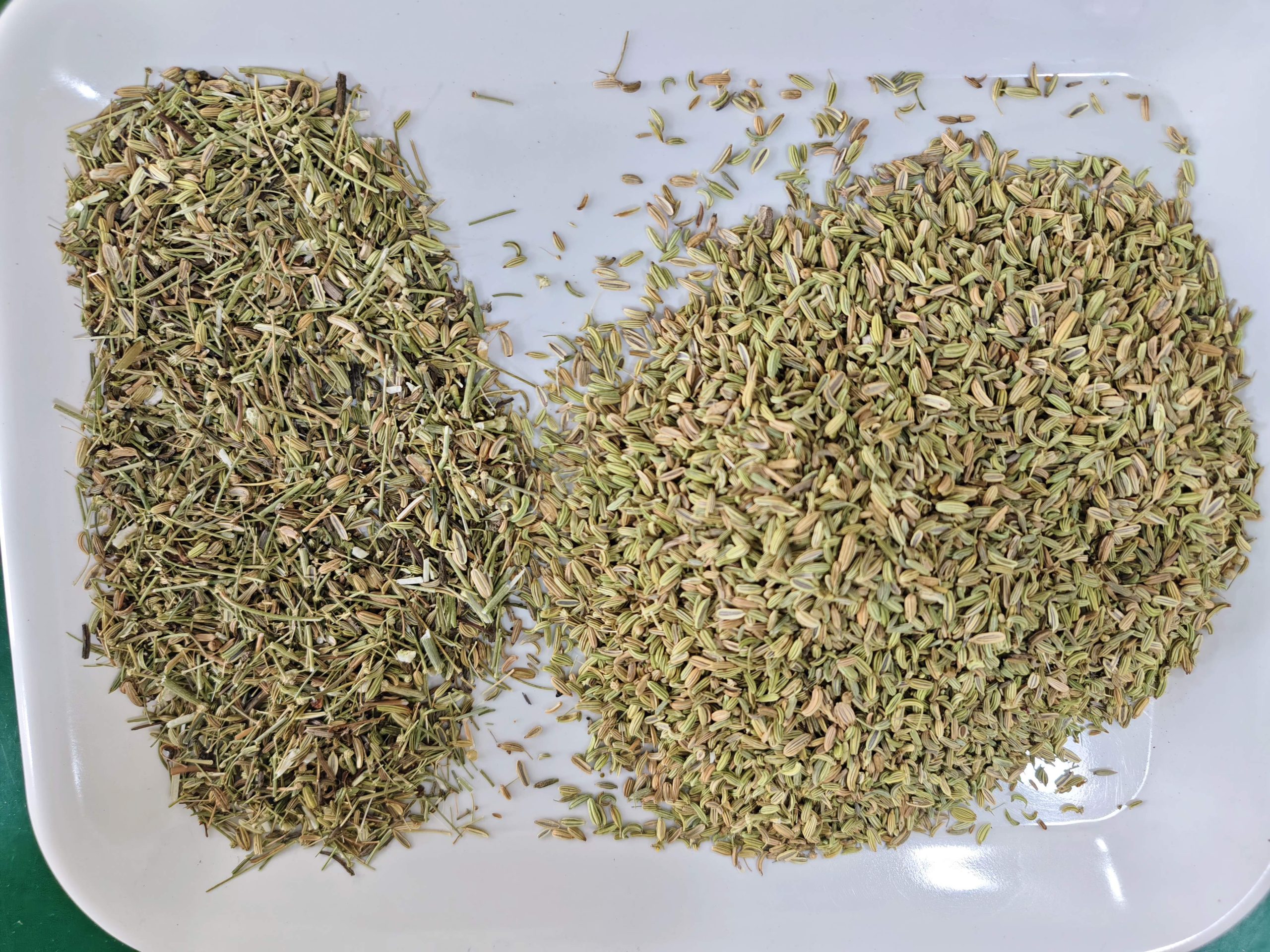 小茴香色选良品和次品对比图