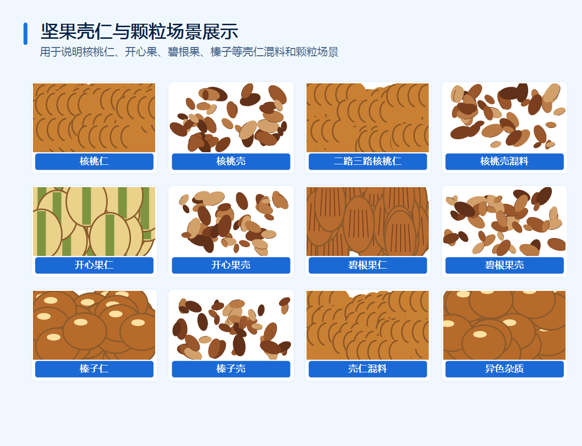 智利效坚果色选机壳仁混料和颗粒场景图