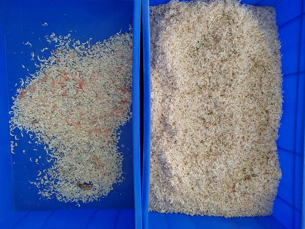 虾皮色选机怎么选？半干虾皮的红壳、碎壳与异色杂质分选